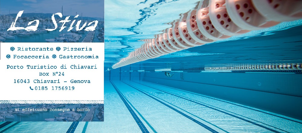 Stiva-Web