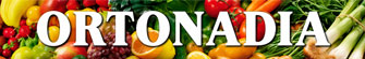 ORTONADIA